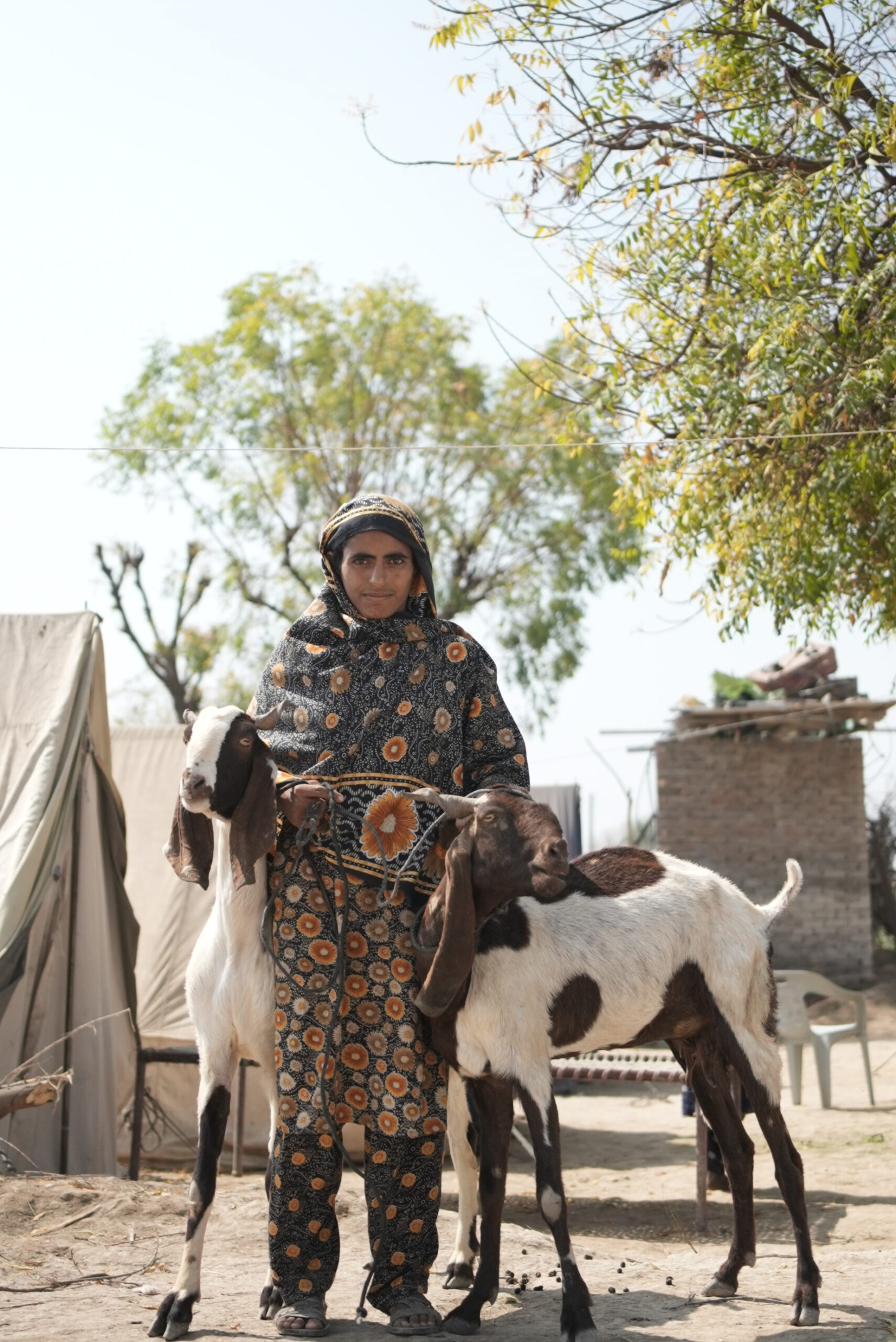What Is Qurbani in Islam and Why It Matters