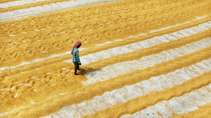 Celebrating Clean Water Milestones